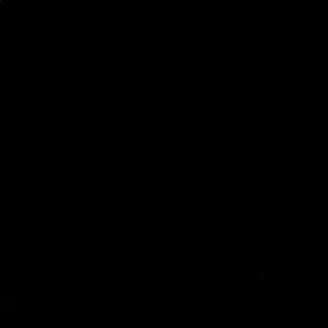 Meet your Posher, Tasha